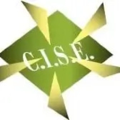 logo CISE CapacitaciÃƒÂ³n Ã¢â‚¬â€ Argentina