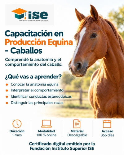 Capacitación en Producción Equina - Caballos