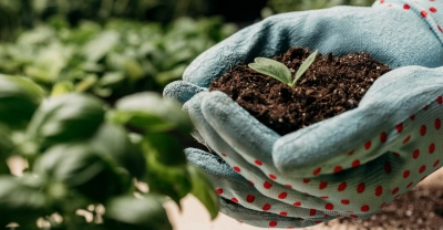 Curso sobre Elaboración de abonos orgánicos y biológicos para Agricultura + IA
