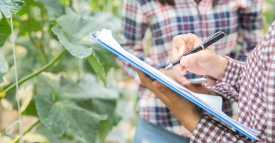 Técnico Auxiliar en  Administración Agropecuaria + IA