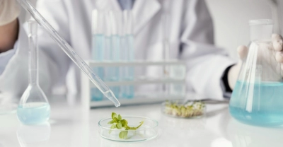 Diplomatura en Biotecnología Industrial + IA (Premium con Doble Certificación)