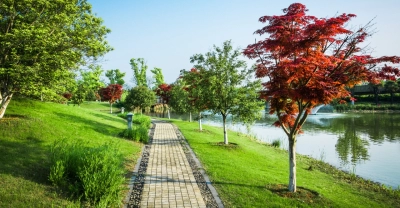 Curso de Usos, funciones y características de las plantas en el diseño del paisaje + IA (Premium con Doble Certificación)