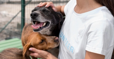 Técnico Auxiliar en Guardería Canina, Paseo y Gestión PET + IA