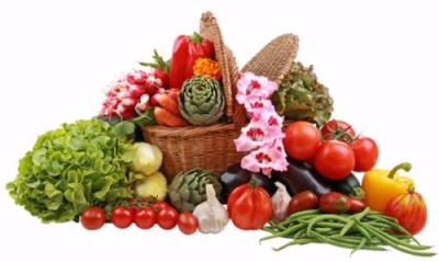 Recolección, Almacenamiento y Transporte de Flores y Hortalizas + IA (Premium con Doble Certificación)