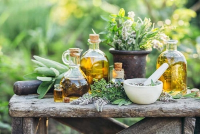 Plantas Medicinales + IA