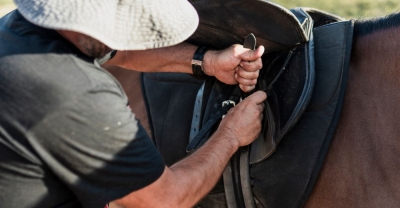Técnico Auxiliar en Preparación e higiene de Caballos Se...