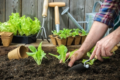Introducción para la carrera de Fruticultura y Horticultura