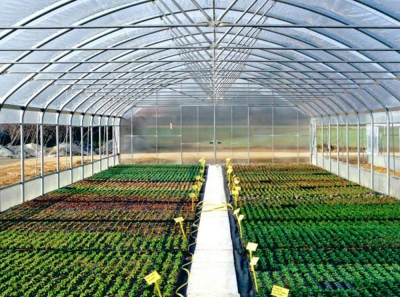 Técnico Auxiliar en Viveros y Huertas Urbanas Ecológicas...