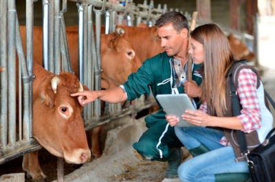 Técnico Auxiliar en Granjas Agropecuarias + IA