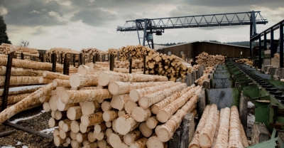 Diplomatura en Madera, Aserradero y Carpintería Industrial + IA (Premium con Doble Certificación)