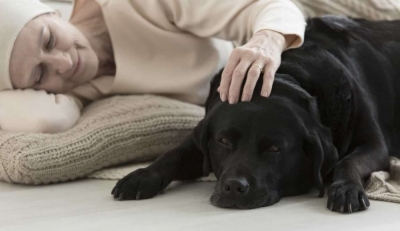 Diplomatura en Terapias con Animales + IA (Premium con Doble Certificación)