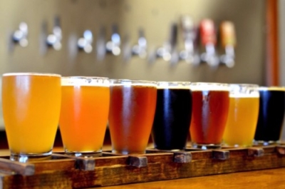 Cervecería Artesanal + IA (Premium con Doble Certificación)