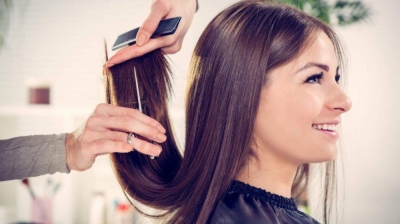 Programa de Certificación en Corte