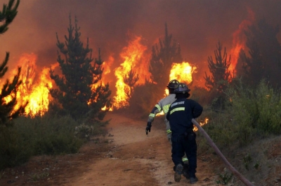 Especialista en Incendios Forestales + IA