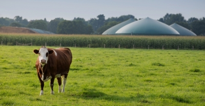 Curso de Biogás y Biodigestores + IA (Premium con Doble C...