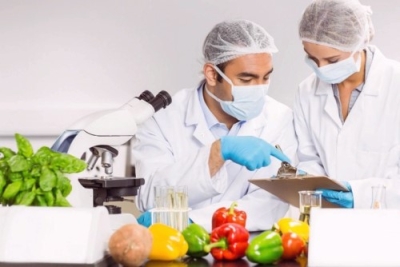 Auxiliar de Laboratorio - Microbiología de los Alimentos ...