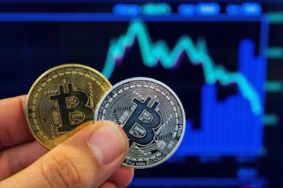 Certificación en Criptomonedas + IA (Premium con Doble Ce...