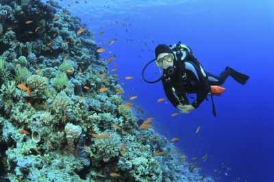 Técnico Auxiliar en Oceanografía + IA (Premium con Doble Certificación)