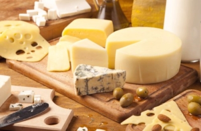 Elaboración de Quesos Artesanales y Productos Lácteos + ...