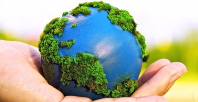 Perito Auditor en Impacto ambiental + IA