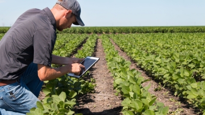 Introducción a la carrera de Administración Agraria