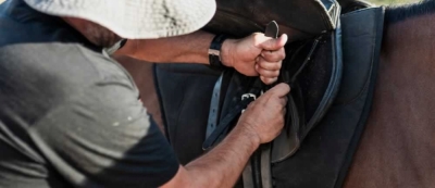 Técnico Auxiliar en Preparación e higiene de Caballos Se...