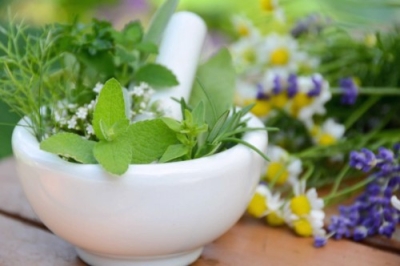 Capacitación en Plantas Medicinales