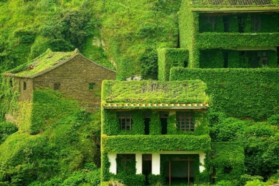 Certificación en Construcción de Casas Ecológicas y Autosuficientes + IA (Premium con Doble Certificación)