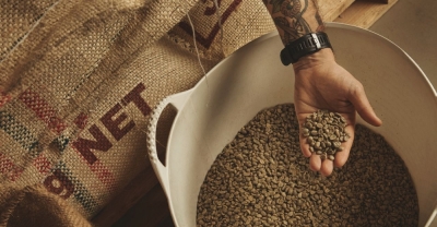 Diplomatura en Producción y comercialización de Café, Té y Yerba mate + IA (Premium con Doble Certificación)