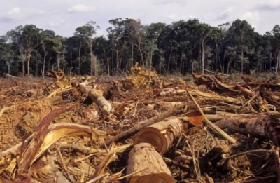 Capacitación en Explotación e Impacto Ambiental