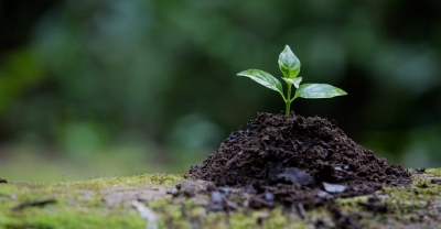Diplomatura en Biodiversidad y Conservación del Medio Nat...