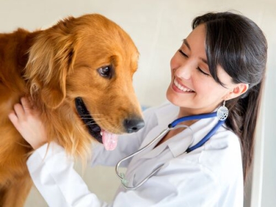 Agrícola - Veterinario - Animales