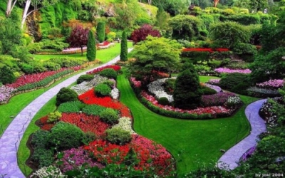 Jardinería y Paisajismo + IA