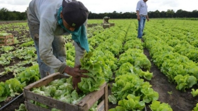 Capacitación en Horticultura